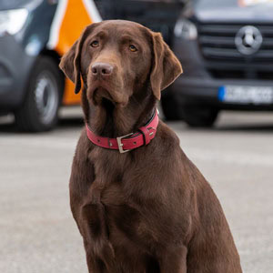 Luebke Bausanierung 0000 Team 10