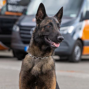 Luebke Bausanierung 0001 Team 9