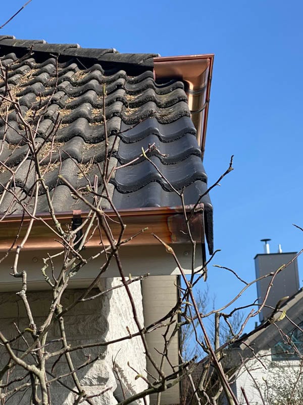 luebke-bausanierung-dachsanierung-dacharbeiten-dachinstandsetzung-hamburg-5 Luebke Bausanierung Dachsanierung Dacharbeiten Dachinstandsetzung Hamburg 5